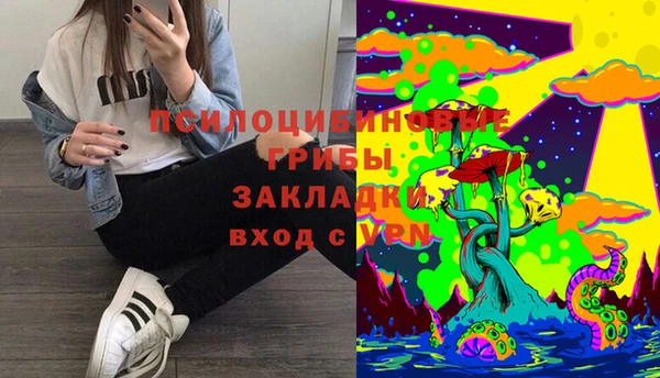 a pvp Володарск