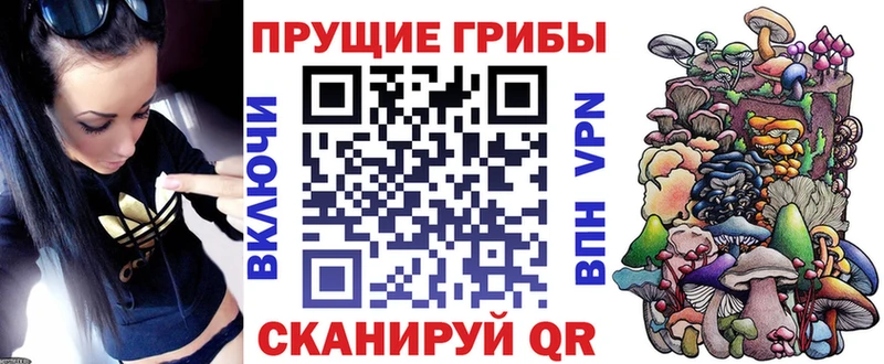 Галлюциногенные грибы мухоморы  Купить закладки  Киржач 